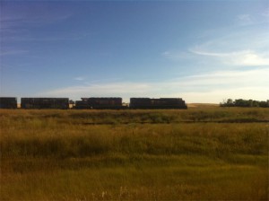Day241 Picture1