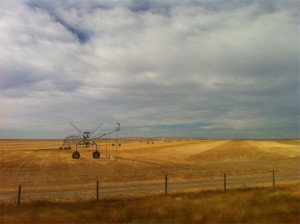 Day247 Picture1
