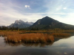 Day257 Picture1