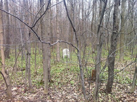 Random chairs in a forested area I passed through