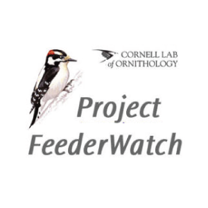 Project Feeder Watcher