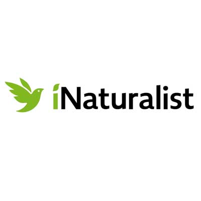 iNaturalist and SEEK