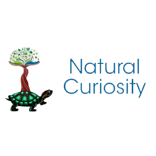 From Acknowledgement to Action: Connecting to the Land Through Natural Curiosity