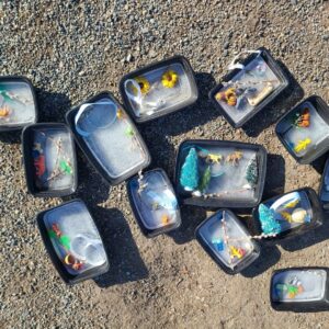 333170602 3292577251055045 1854441813025868084 N