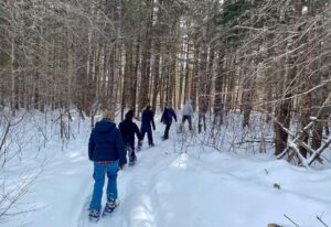 9721d477 3e52 09a8 E097 24afeaed8ce0