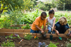 Education Website Header 2021 7 768x512   Natalie Harder