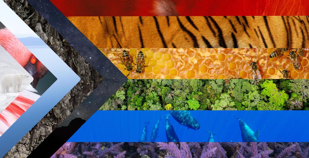 9clf4b5rbo Pride In Nature 2025 No Byline